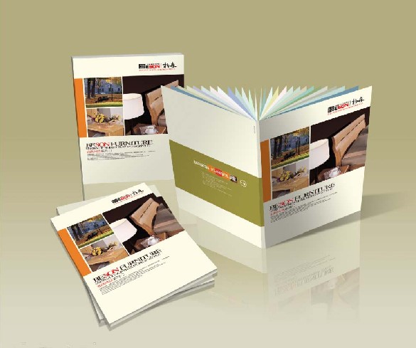 企業(yè)畫(huà)冊(cè)印刷