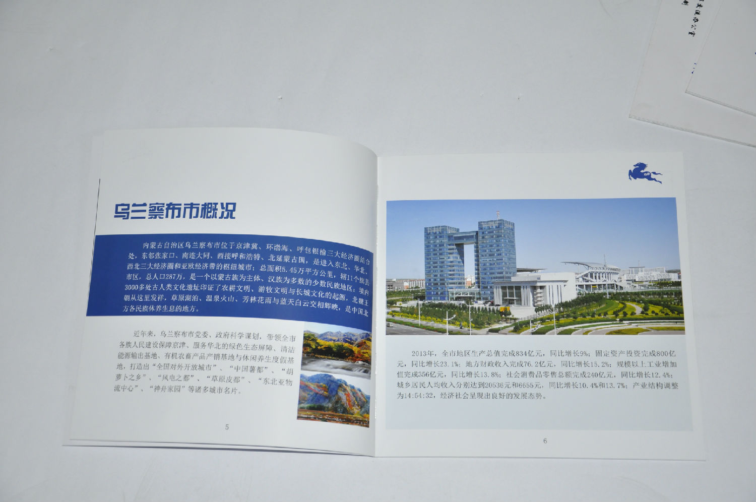 _DSC0165.jpg _DSC0165.jpg