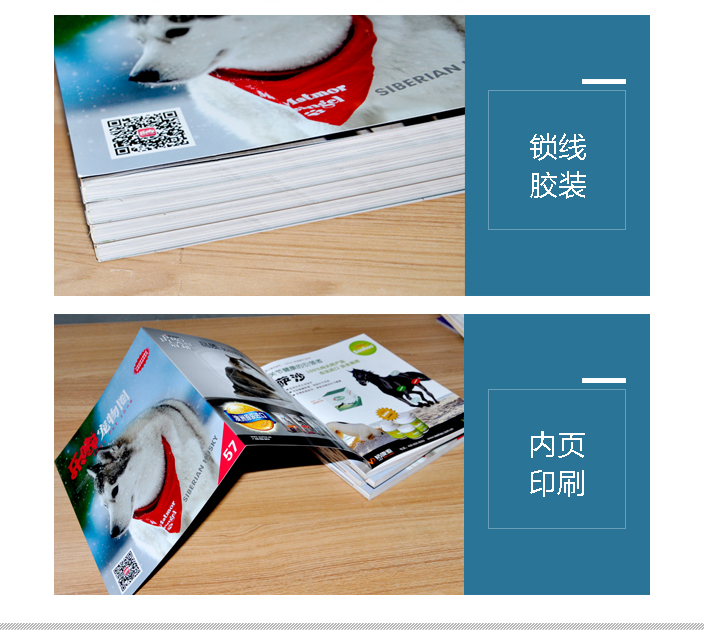 樂嘟寵物園宣傳畫冊(cè)印刷