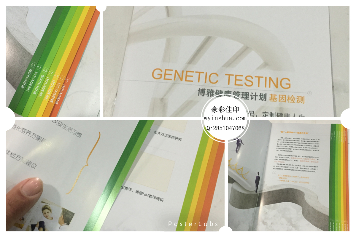 豪彩畫冊 豪彩畫冊