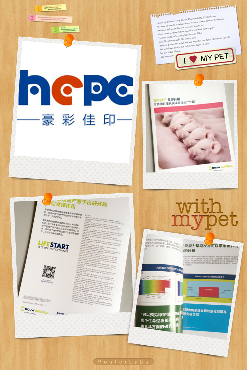 畫冊(cè)印刷廠家