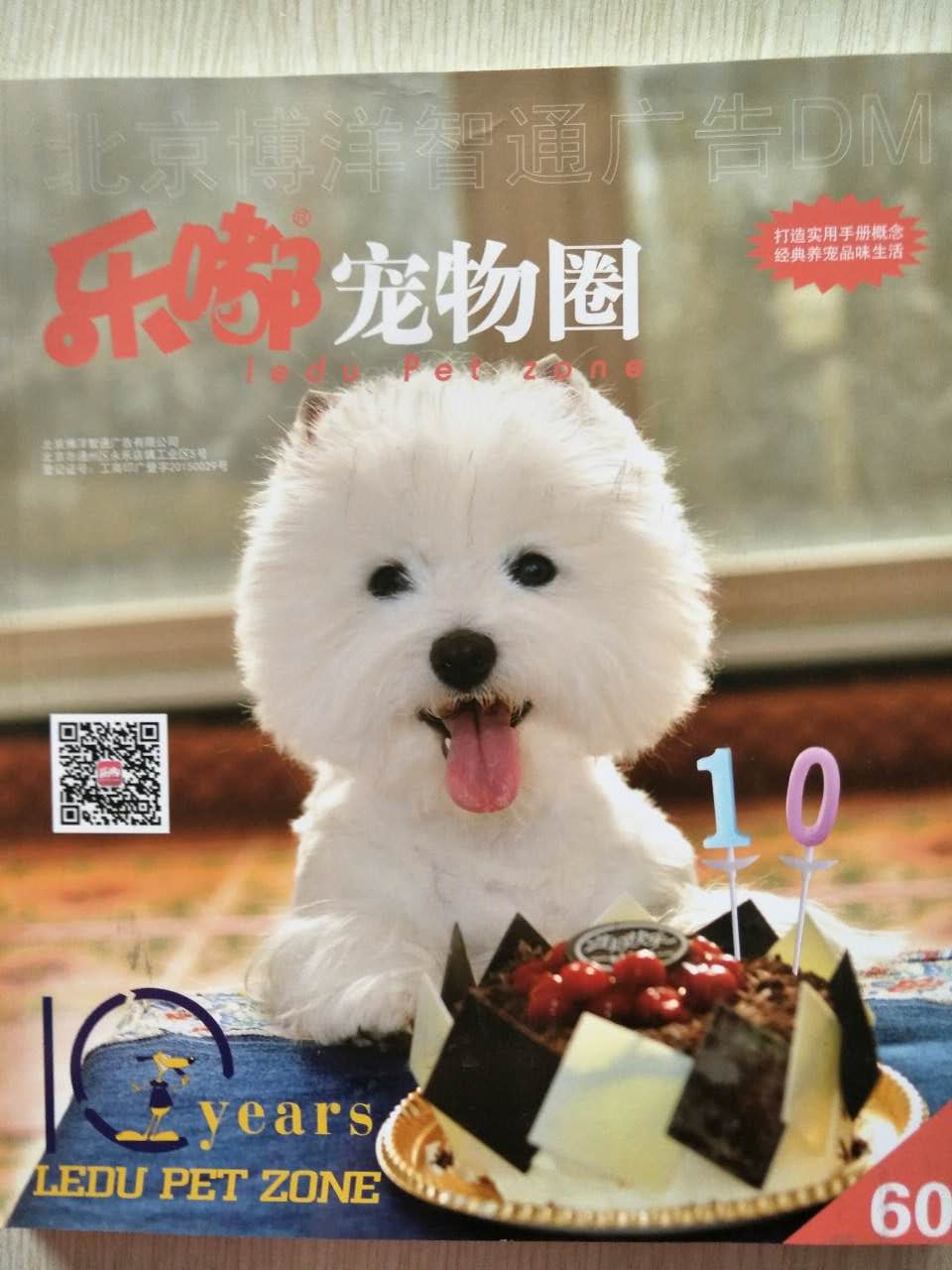 企業(yè)宣傳冊(cè)印刷&mdash;&mdash;豪彩佳印做印刷您放心!